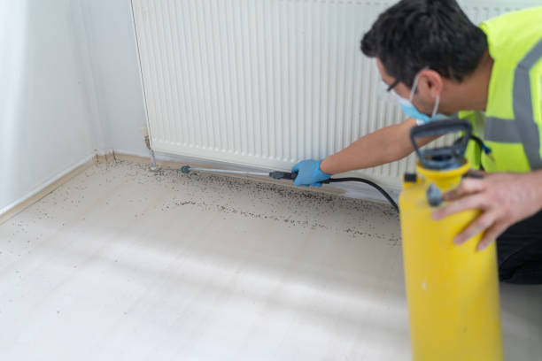 Best Cockroach Control Services  in Fort Washington, PA