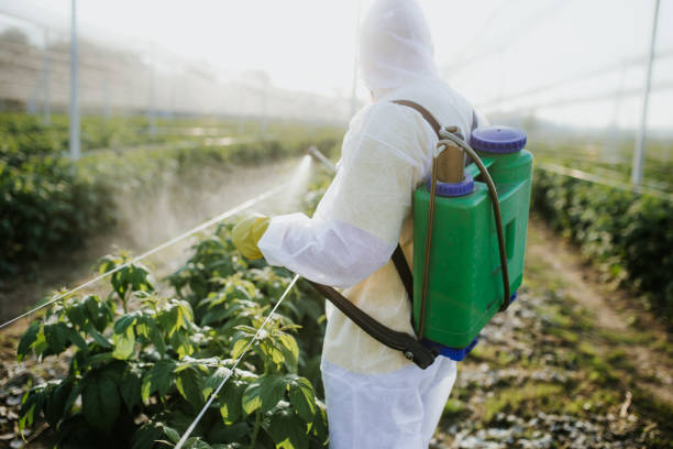Best Pest Removal Services  in Fort Washington, PA